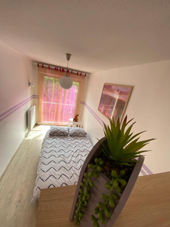 Apartament Decouvrez Le Charme Au Coeur De Gap Zewnętrze zdjęcie